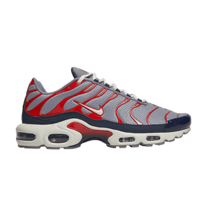 Nike Air Max Plus 'Grey USA'