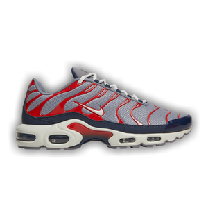 Nike Air Max Plus 'Grey USA'