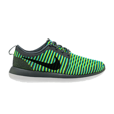 Nike Roshe Two Flyknit