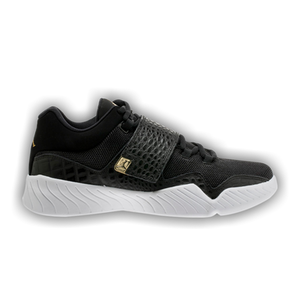 Air Jordan J23