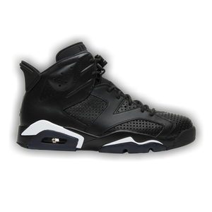 Air Jordan 6 Retro 'Black Cat'