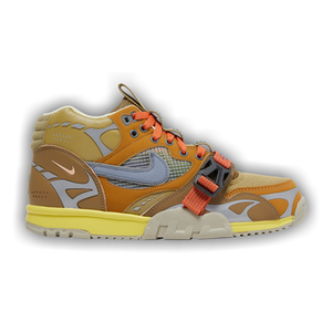 Nike Air Trainer 1 'Coriander'