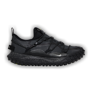 Nike ACG Mountain Fly Low GTX SE 'Dark Smoke Grey'