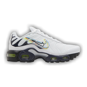 Nike Air Max Plus GS 'Layered Swoosh'