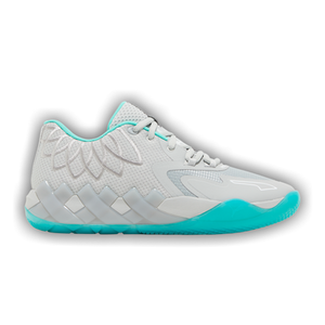 Puma MB.01 Lo 'UFO'