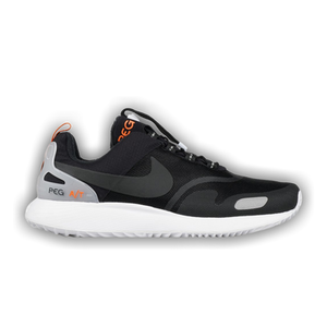 Nike Air Pegasus A/T Pinnacle