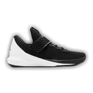 Air Jordan Trainer 3