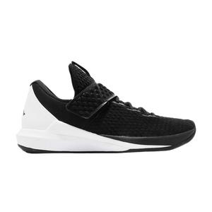 Air Jordan Trainer 3