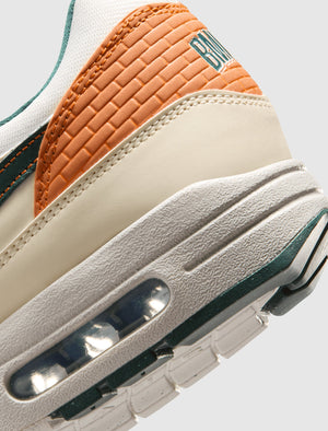 Nike Air Max 1 City Connect 'Orioles'