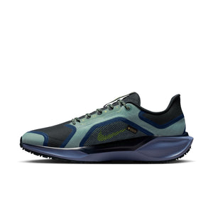 Nike Air Zoom Pegasus 41 GORE-TEX 'Cannon Obsidian'