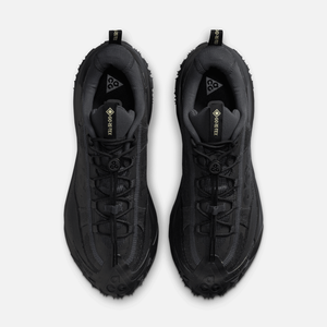 Nike ACG Mountain Fly 2 Low GORE-TEX 'Dark Smoke Grey'