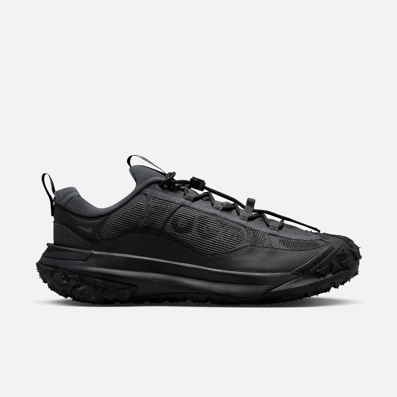 Nike ACG Mountain Fly 2 Low GORE-TEX 'Dark Smoke Grey'