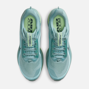Nike Pegasus Premium 'Cannon'