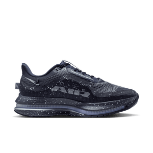 Nike Wmns Pegasus Premium SE  'Cave Purple/Metallic Silver/Black'