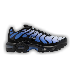 Nike Air Max Plus GS 'Black Sapphire'