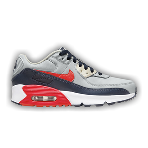 Nike Air Max 90 Leather GS 'Light Smoke Bright Crimson'