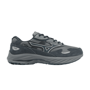 Mizuno Wave Rider Beta GORE-TEX 'Quiet Shade Vulcan'