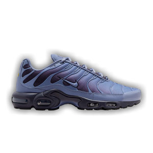 Nike Air Max Plus 'World Indigo'