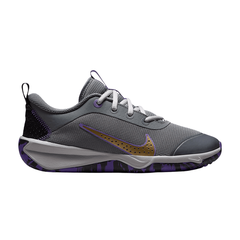 Nike Omni Multi-Court Indoor Court GS 'Smoke Grey Action Grape Light Smoke Grey Metallic Gold' DM9027 016