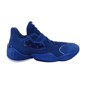 adidas Harden Vol. 4 'Kentucky Wildcats'