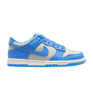 Nike Dunk Low GS 'Light Photo Blue Silver'