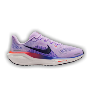 Nike Wmns Pegasus 41 'Violet Mist/Bright Violet/Sapphire/Purple Dynasty'