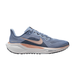 Nike Wmns Air Zoom Pegasus 41 'Ashen Slate Metallic Red Bronze'