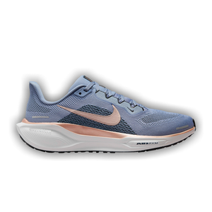 Nike Wmns Air Zoom Pegasus 41 'Ashen Slate Metallic Red Bronze'
