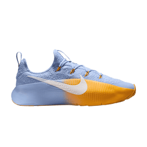 Nike LeBron TR 1 'Aluminum University Gold'