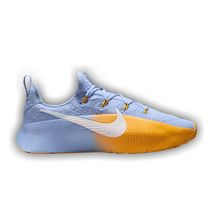 Nike LeBron TR 1 'Aluminum University Gold'