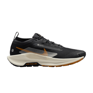 Nike Pegasus Trail 5 GORE-TEX 'Black Monarch'