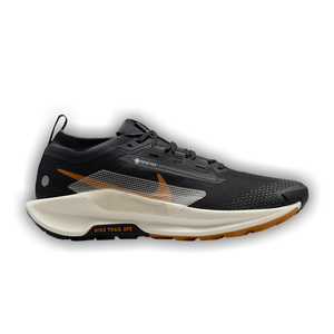 Nike Pegasus Trail 5 GORE-TEX 'Black Monarch'