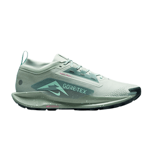 Nike Pegasus Trail 5 GORE-TEX 'Light Silver Clay Green'