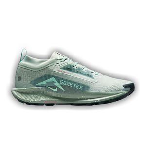 Nike Pegasus Trail 5 GORE-TEX 'Light Silver Clay Green'