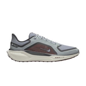Nike Air Zoom Pegasus 41 GORE-TEX 'Light Pumice Burgundy Crush'