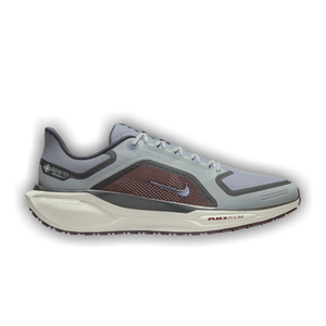 Nike Air Zoom Pegasus 41 GORE-TEX 'Light Pumice Burgundy Crush'