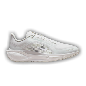 Nike Air Zoom Pegasus 41 GORE-TEX 'Photon Dust'