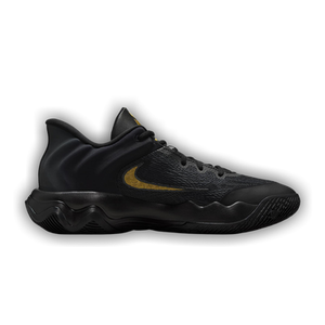 Nike Giannis Immortality 4 'Black Metallic Gold'
