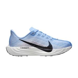 Nike Wmns Pegasus Plus 'Aluminum'