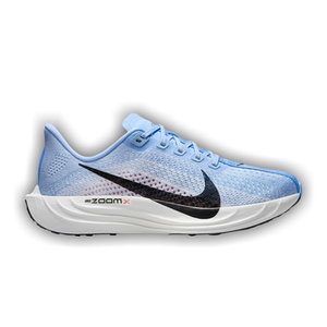 Nike Wmns Pegasus Plus 'Aluminum'