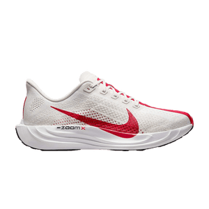 Nike Pegasus Plus 'Platinum Tint University Red'