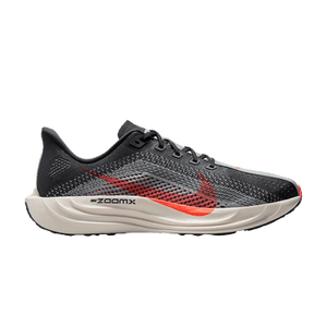 Nike Pegasus Plus 'Anthracite Bright Crimson'