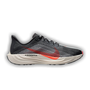 Nike Pegasus Plus 'Anthracite Bright Crimson'