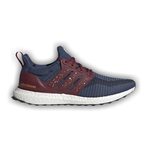 Adidas UltraBoost 2.0 DNA 'City Pack - Manila'