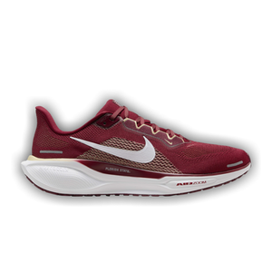 Nike Air Zoom Pegasus 41 'Florida State'