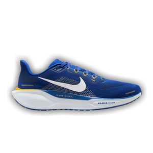 Nike Air Zoom Pegasus 41 'North Carolina A&T'