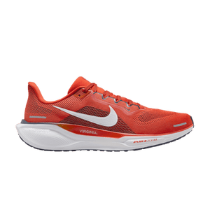 Nike Air Zoom Pegasus 41 'Virginia'