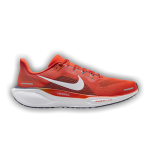 Nike Air Zoom Pegasus 41 'Virginia'