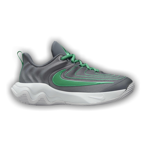 Nike Giannis Immortality 4 GS 'Smoke Grey Stadium Green'