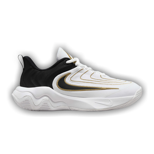Nike Giannis Immortality 4 GS 'Championship'